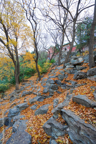 Obraz na płótnie Scenery outside Shanxian Temple, Summer Palace, Beijing w salonie