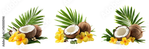 Set of A close-up shot of a 3D coconut with flowers placed on it on transparent png background
