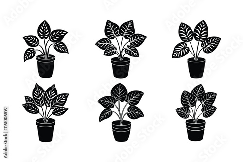 Nerve Plant (Fittonia albivenis) design, labeled silhouette vector art illustration.