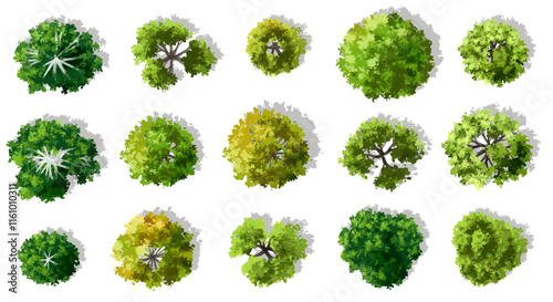Vector watercolor green tree or forest top view isolated on white background for landscape plan and architecture drawing,plant for environment or garden,botanical element for exterior layout