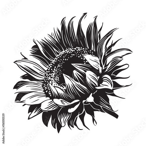 Sunflower line art coloring sheet printable for kids design