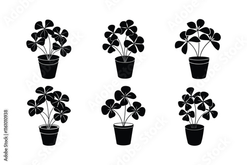 Oxalis (Oxalis triangularis) design, labeled silhouette vector art illustration.