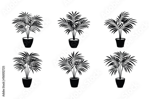 Parlor Palm (Chamaedorea elegans) design, labeled silhouette vector art illustration.