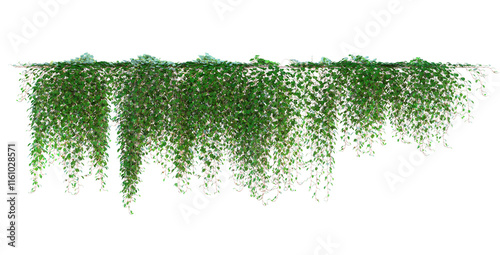 Set of various creeper plants, isolated on a transparent background. 3D render