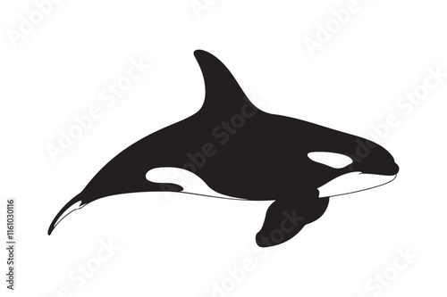 Orca Whale Silhouette Vector Illustration