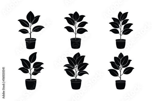 Schefflera (Schefflera arboricola) design, labeled silhouette vector art illustration.