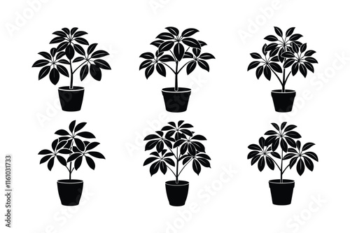 Snake Plant (Sansevieria trifasciata) design, labeled silhouette vector art illustration.