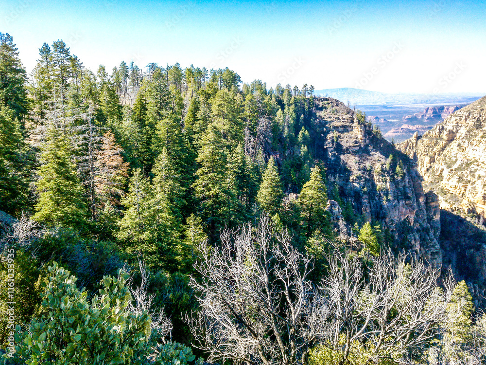 Fototapeta premium Sedona, Arizona