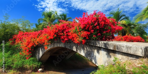 Bougainville flowering plants adorn a picturesque setting near a bridge, showcasing the vibrant beauty of bougainville blooms in nature s scenery. Bougainville adds charm to the landscape. photo