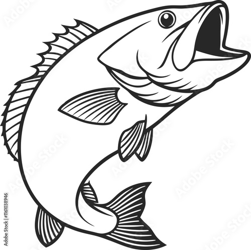 Bass fish vector design and using black color line art illustration on a white background.