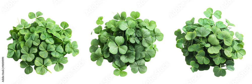 Set of A vibrant green rainbow arching over a lush field on transparent png background Set of A vibrant green rainbow arching over a lush field on transparent png background