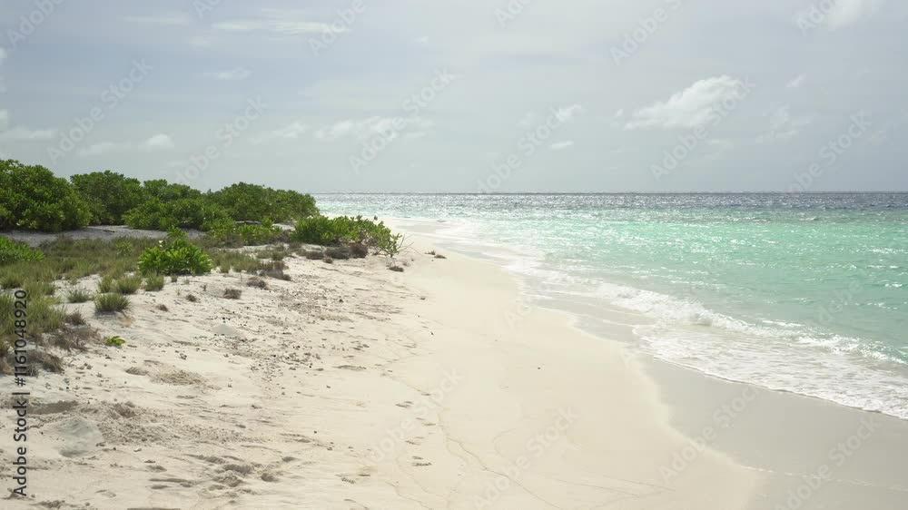 Sandy wild seashore on an uninhabited island in the Maldives Sandy wild seashore on an uninhabited island in the Maldives