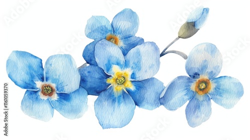 Watercolor forget-me-not flower sprig.