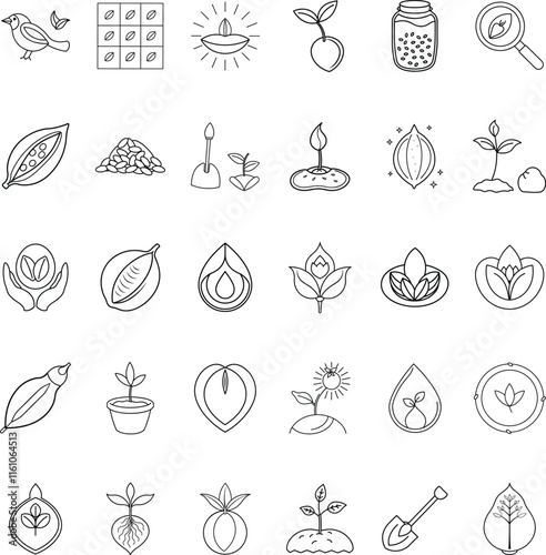 Cocoa bean growth stages, from plant to chocolate bar