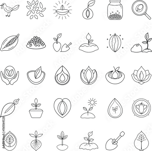 Cocoa Bean Life Cycle From Seed to Plant Growth Icons