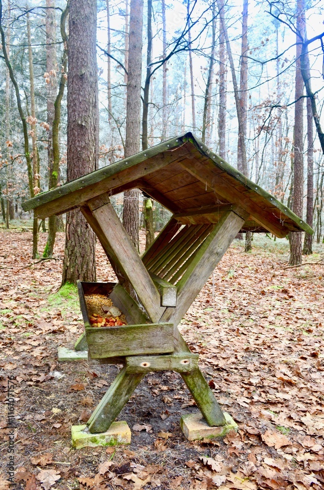 Naklejka premium wooden feeder for wild animals deer in the winter forest Feeder for winter feeding of wild animals in the forest. Feeder for forest animals in winter.