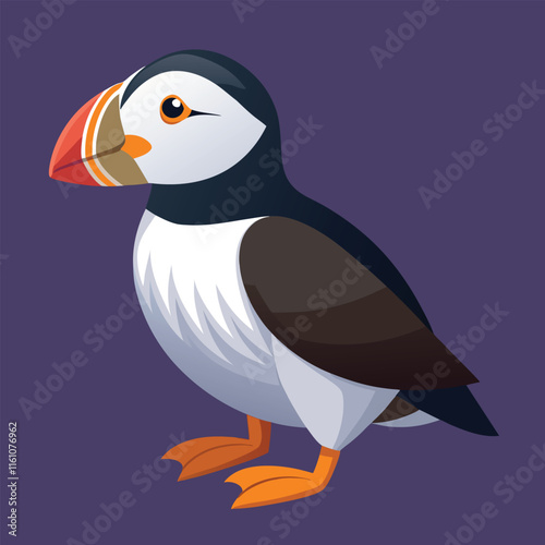 Hand Drawn Puffin Cartoon Illustration Design.