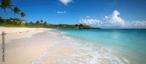 Fototapeta Naklejka Na Ścianę i Meble -  Caribbean beach scene featuring turquoise water, white sand, palm trees, and clear blue skies ideal for advertising and travel promotions