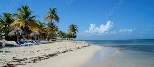 Fototapeta Naklejka Na Ścianę i Meble -  Caribbean Beach Scene with Palm Trees and Clear Blue Sky Ideal for Travel Promotional Content and Relaxation Themes