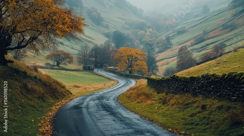Winding Secondary Road Through Colorful Autumn Hills Under Foggy Skies