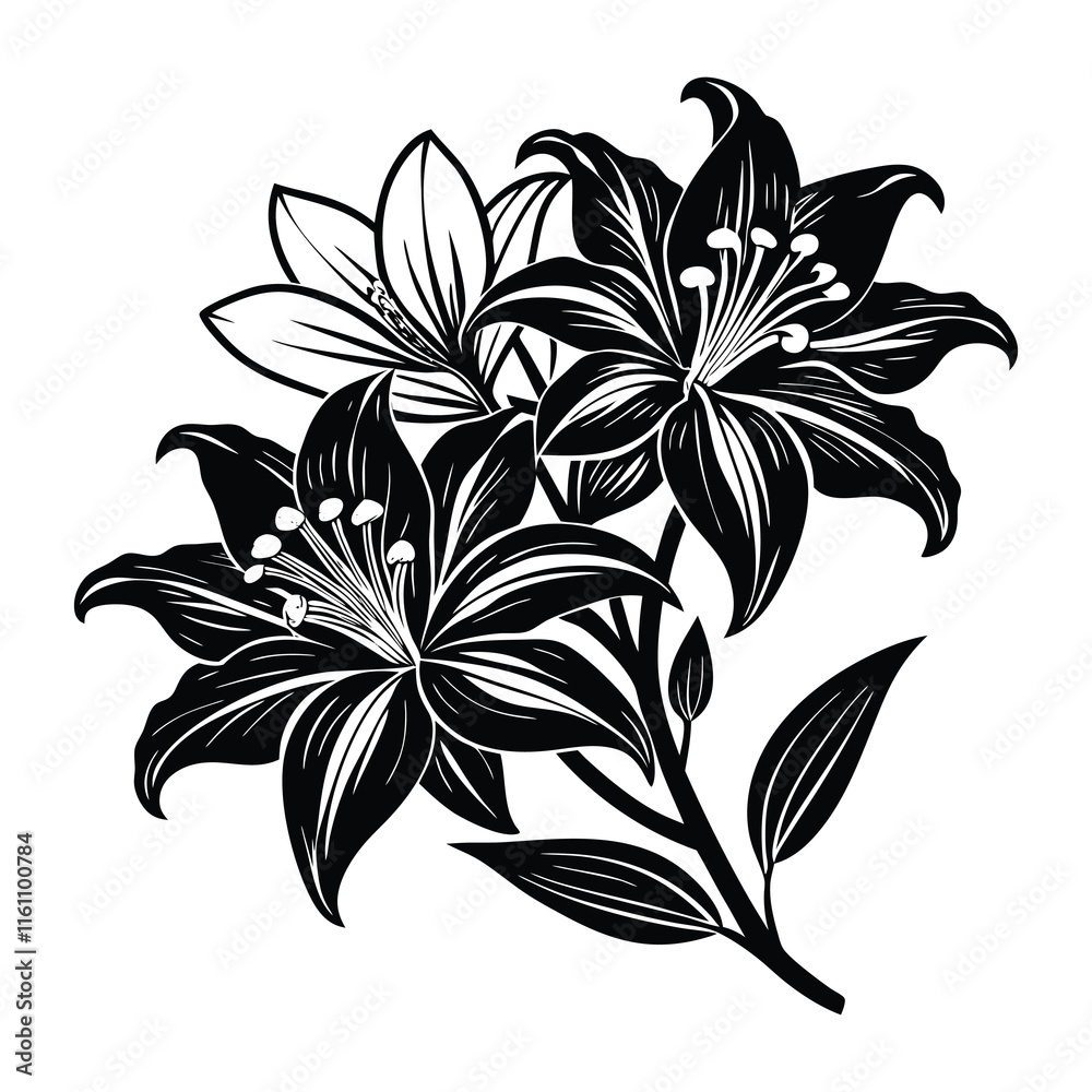 Lily Flower svg Lily Flower svg