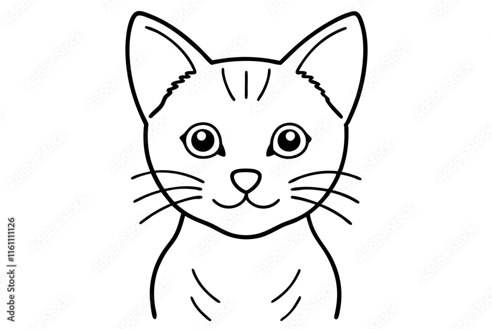Fototapeta premium cat