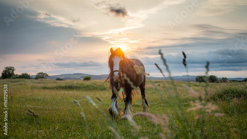 A horse standing during a picturesque sunset, surrounded by nature.