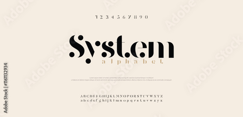 Elegant awesome alphabet letters font and number. unique serif font. Classic Lettering Minimal Fashion Designs. Typography fonts regular uppercase and lowercase. vector illustration
