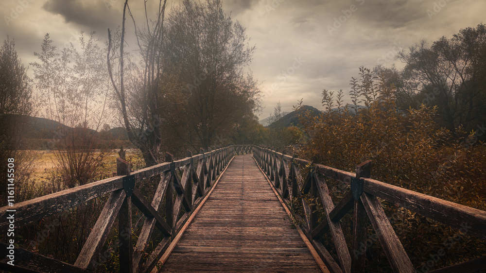 Obraz premium wooden walkway in the forest