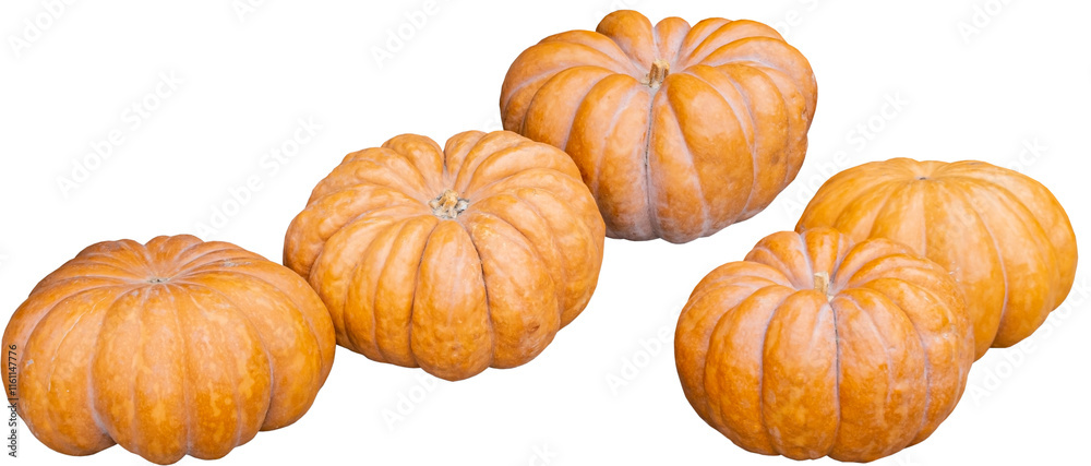 Big beautiful pumpkins Big beautiful pumpkins