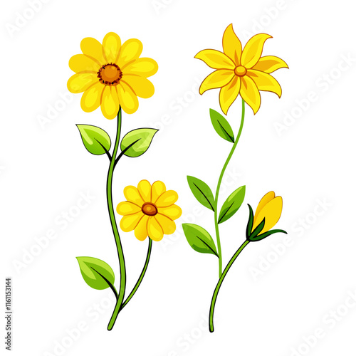 Four different kinds of yellow flowers vector illustration (6)