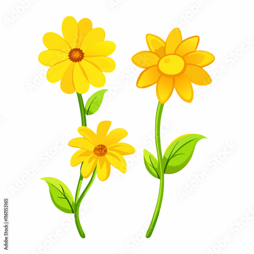 Four different kinds of yellow flowers vector illustration (2)