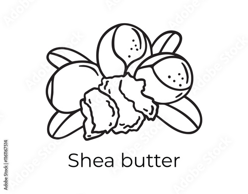 shea butter doodle hand drawn icon. Outline drawing plant organic natural cosmetic ingredient shea butter line clipart symbol 