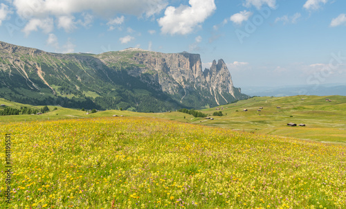 View of Burgstall mountain with the Santener Kanzele, the Euringer Spitze and the Santner Spitze on the Schlern massif. Dolomite mountain peaks near Seiser alm. Alpine meadow yellow wild flowers. photo