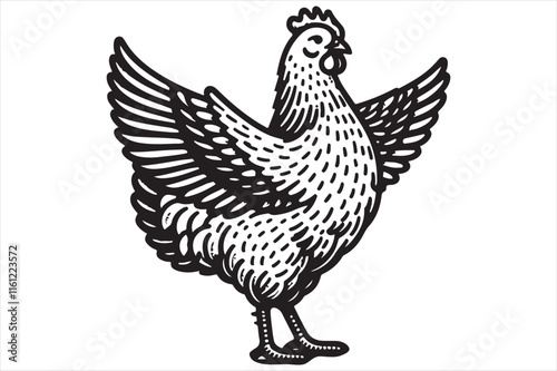 Chicken Illustration this is a editable file 