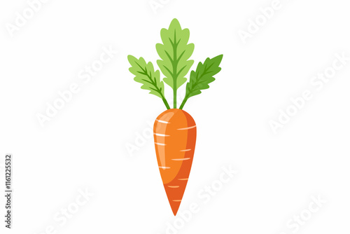 Fresh Orange Carrot Vegetable Illustration with Green Leaves