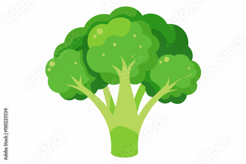 Fresh Green Broccoli Vegetable, Healthy Food, Nutrition, Vitamin, Diet