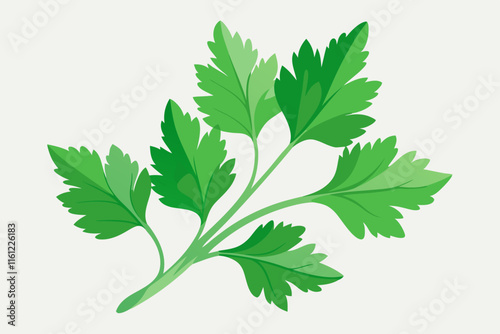 High-quality vector illustration of parsley leaves watercolor illustration isolated for design projects and creative needs