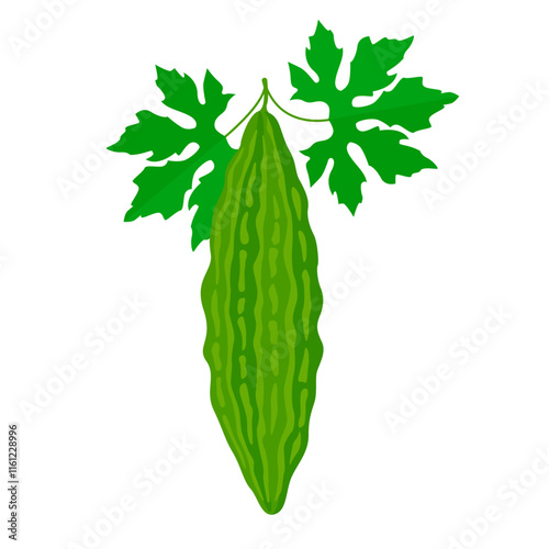 bitter gourd with leaves vector illustration in flat style