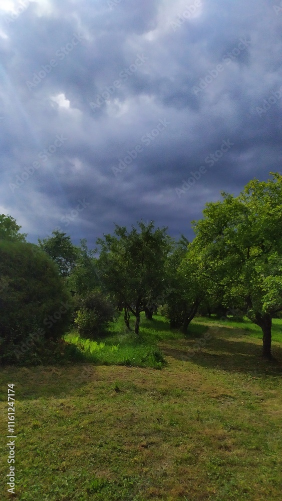 Beautiful sky-blue colors in the summer in Belarus Beautiful sky-blue colors in the summer in Belarus