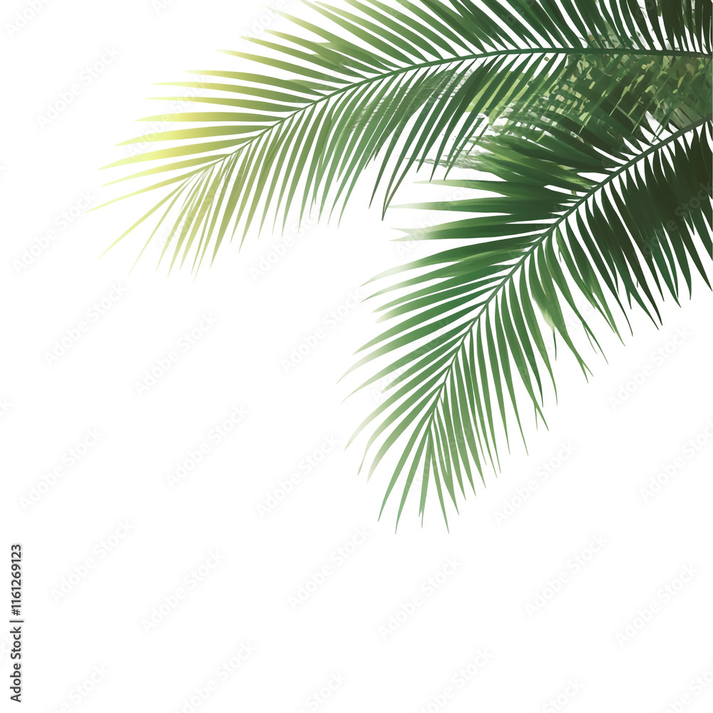 Fototapeta premium Tropical Palm Fronds Against Black Background