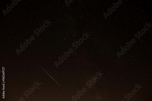 Meteor leonid