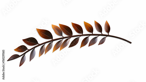 A ironwood leaf isolated on white background. Ebonwood. Illustration photo