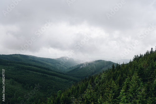 Mountains covered with deep forest and a grey cloudy sky on the background