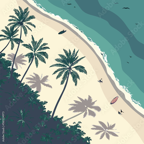  Aerial View of Tropical Beach with Crystal Clear Water