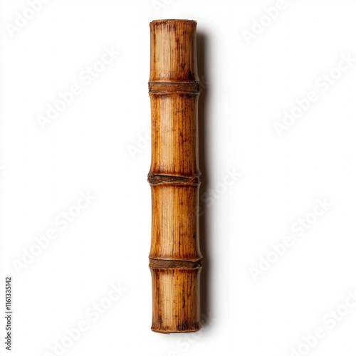Sugar Cane Isolated