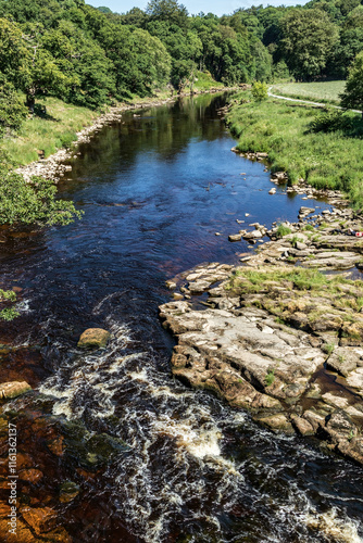 Picturesque  river scene: dark, flowing water rushes over rocky outcrops, contrasting with lush green banks and a forest backdrop, River Skell, Ripon, Yorkshire, UK.