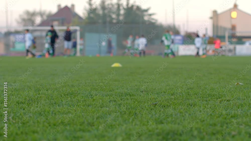 The scene shows eager young soccer players practicing on a lush green field, surrounded by colorful cones, all illuminated by warm evening light, creating an inviting atmosphere The scene shows eager young soccer players practicing on a lush green field, surrounded by colorful cones, all illuminated by warm evening light, creating an inviting atmosphere
