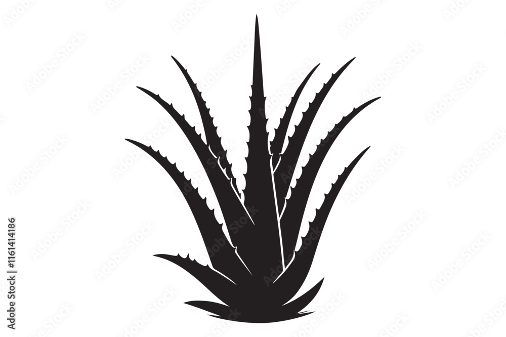 Fototapeta premium Alovera vector silhouette 
