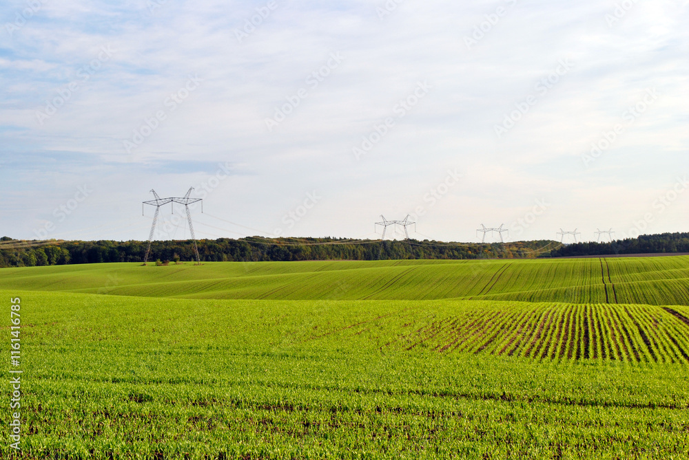 green field and a sky